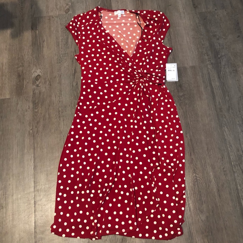Robbie Bee polka dot fit and flare dress size large
